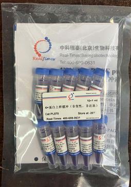 4×蛋白上樣緩沖（非變性，非還原）