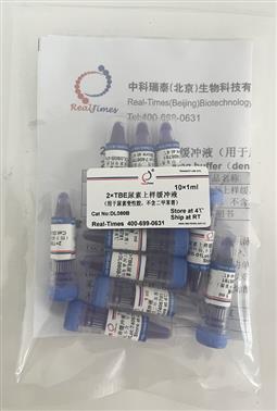 2×TBE尿素上樣緩沖液（用于尿素變性膠，不含二甲苯菁）