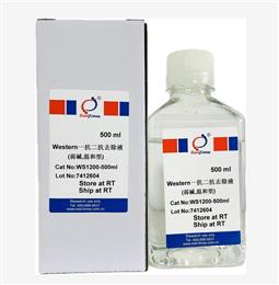 Western一抗二抗去除液（弱堿，溫和型）